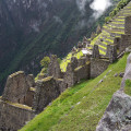 Waarom zijn de Inca's zo belangrijk geweest?